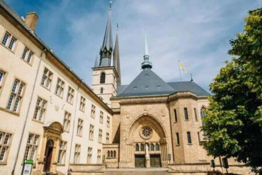 Apartment Bright And Welcoming 2 Bedrooms In Center Luxemburg